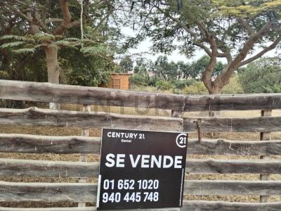 Urb Los Manzanos , Cañete, Lima 00001, Peru