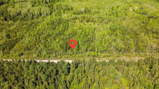 253 Rg Gravel, Dégelis, Quebec G5T 1G2, Canada