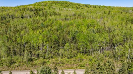 253  Rg Gravel, Dégelis, Quebec G5T 1G2, Canada