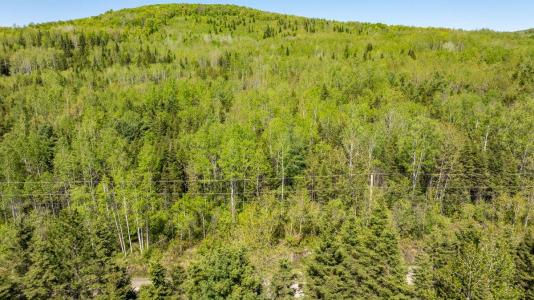 253  Rg Gravel, Dégelis, Quebec G5T 1G2, Canada