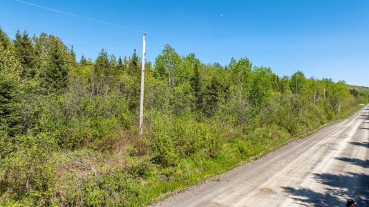 253  Rg Gravel, Dégelis, Quebec G5T 1G2, Canada