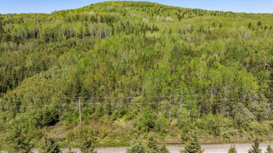 253  Rg Gravel, Dégelis, Quebec G5T 1G2, CANADÁ