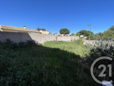 Marseillan, Languedoc-Roussillon 34340, Francia