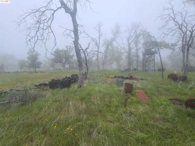 5793 Schilling Rd, Coulterville, California 95311, USA