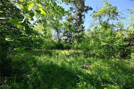 11861 Edgerton Road, North Royalton, Ohio 44133, USA