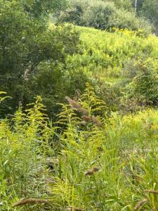 3423 210th Ave., Reed City, 密西根州 49677, 美國