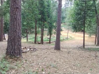 14629 Rollins Park Drive, Grass Valley, Califórnia 95945, Estados Unidos