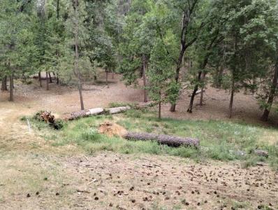 14629 Rollins Park Drive, Grass Valley, Californie 95945, États-Unis