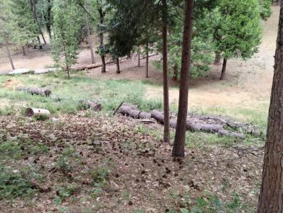 14629 Rollins Park Drive, Grass Valley, Californie 95945, États-Unis