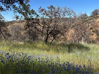 5358 Mariposa Heights Rd., Mariposa, California 95338, USA