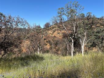 5358 Mariposa Heights Rd., Mariposa, Californie 95338, États-Unis