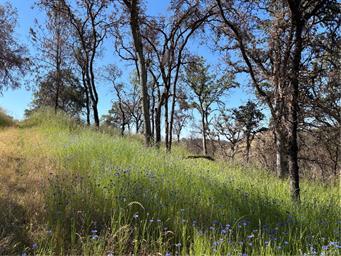 5358 Mariposa Heights Rd., Mariposa, Californie 95338, États-Unis