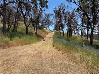 5358 Mariposa Heights Rd., Mariposa, Californie 95338, États-Unis
