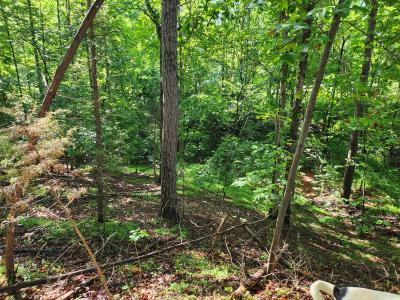Lot 31 Forest Shores Road, Wirtz, Virginia 24184, USA