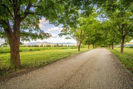 NKA E Day Mt Spokane Rd , North Parcel, Mead, 華盛頓州 99021, 美國