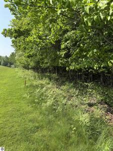 0000 Mooney Way, Kewadin, 密歇根州 49648, 美国