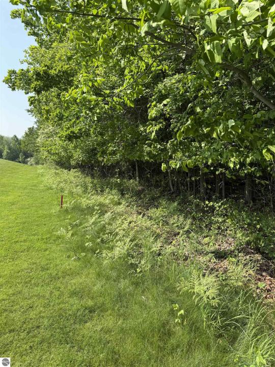 0000 Mooney Way, Kewadin, Michigan 49648, Stati Uniti
