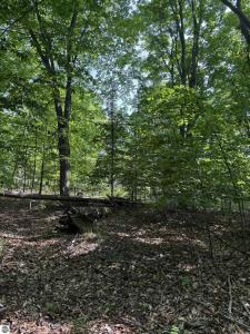 0000 Mooney Way, Kewadin, Michigan 49648, Stati Uniti