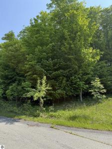 0000 Mooney Way, Kewadin, Michigan 49648, Stati Uniti