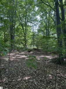 0000 Mooney Way, Kewadin, Michigan 49648, Stati Uniti