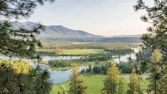 75 Windy Lane, Moyie Springs, Idaho 83845, États-Unis
