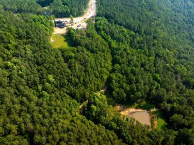 0 Split Rail Way, Guild, Tennessee 37340, Stati Uniti