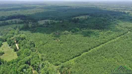 0000 CR 1782, Linden, 得克萨斯州 75563, 美国