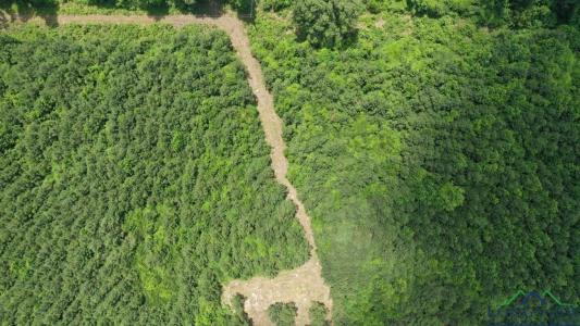 0000 CR 1782, Linden, 得克萨斯州 75563, 美国