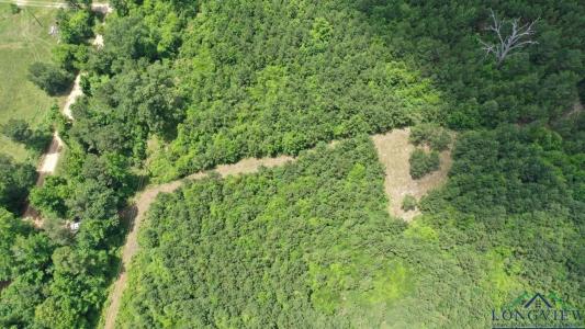 0000 CR 1782, Linden, 得克萨斯州 75563, 美国