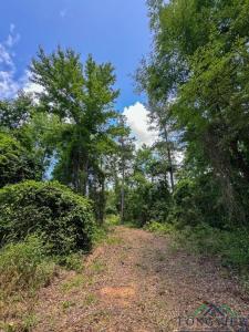 0000 CR 1782, Linden, 得克萨斯州 75563, 美国