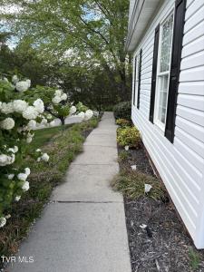 142 Oakwell Lane, Jonesborough, 테네시 37659, 미국