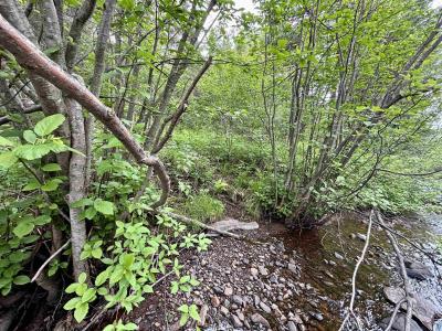 3378 Rock Rd, Silver Bay, Minnesota 55614, HOA KỲ