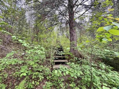 3378 Rock Rd, Silver Bay, Minnesota 55614, USA