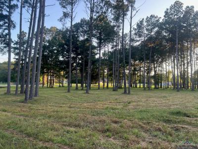 000 Karnack Highway, Marshall, Teksas 75672, USA