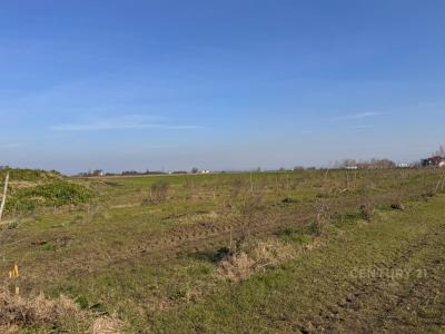 Shën Avlash, Durrës, Albania