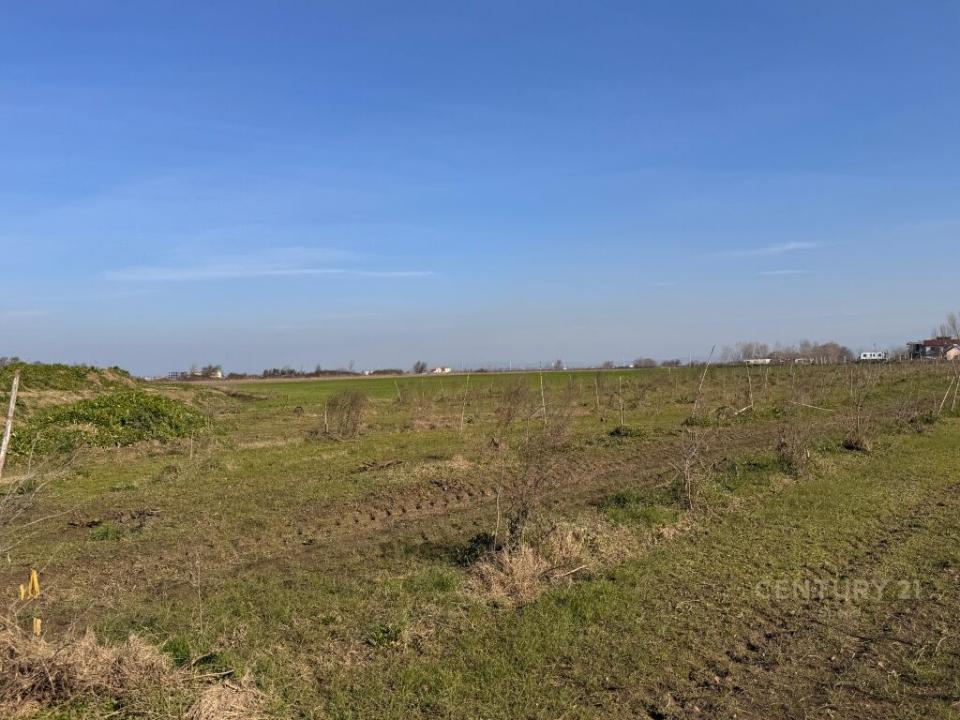 Shën Avlash, Durrës, Albania