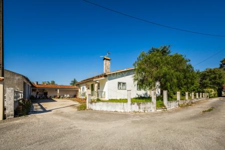 Porto De Mós, Leiria 2480-109, Portugal