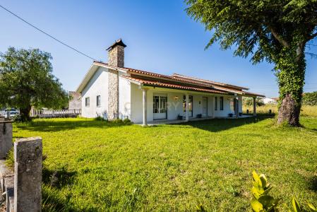 Porto De Mós, Leiria 2480-109, Portugal