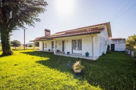 Porto De Mós, Leiria 2480-109, Portugal