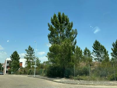 Mação, سانتاريم 6120-701, البرتغال