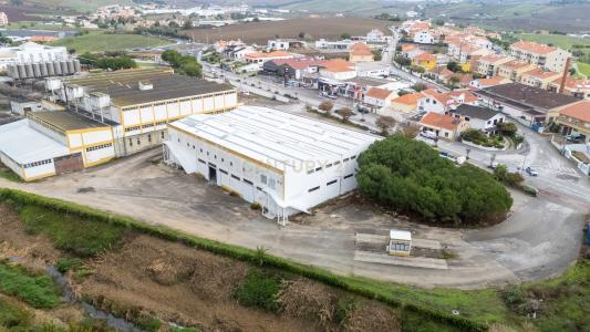 Arruda Dos Vinhos, لشبونة 2630-162, البرتغال
