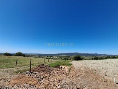 Borba, Évora 7150-321, Portugal