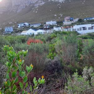 Bettys Bay, Western Cape, South Africa