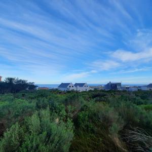Bettys Bay, Western Cape, South Africa