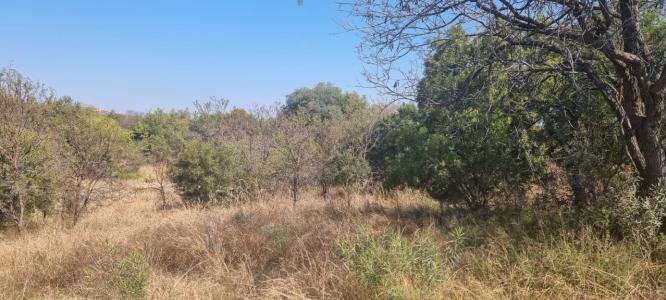 Pretoria, Gauteng, 남아프리카