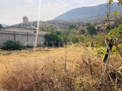 Jiutepec, Morelos 62569, Meksika