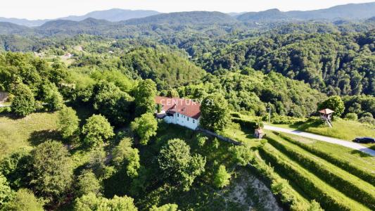 Korenjak, Zavrč, Podravska 2283, Slovénie