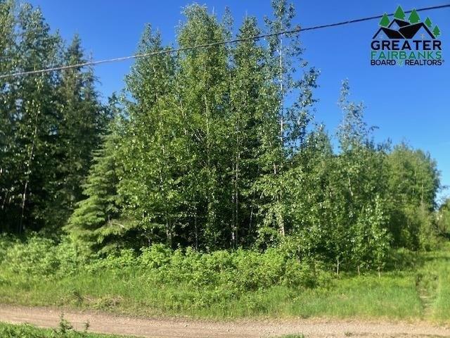 NHN BADGER ROAD, North Pole, Alaska 99705, États-Unis