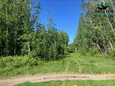 NHN BADGER ROAD, North Pole, Alaska 99705, États-Unis