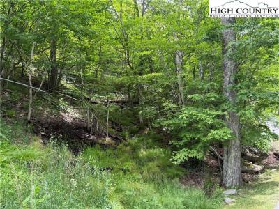 Tbd Wakeman Way, Banner Elk, North Carolina 28604, HOA KỲ